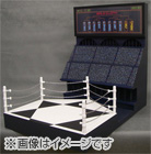 TAMASHII NATION 2010