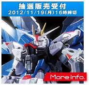 METAL BUILD フリーダムガンダム プリズムコートVer.