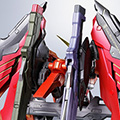 METAL BUILD デスティニーガンダム（ハイネ機）