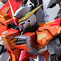 METAL BUILD デスティニーガンダム（ハイネ機）
