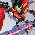 METAL BUILD デスティニーガンダム（ハイネ機）