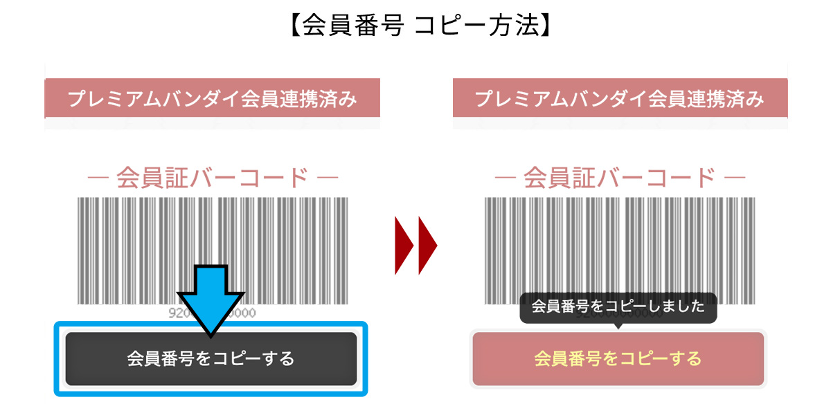 会員番号 コピー方法